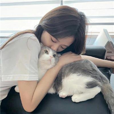 毛毛虫波罗